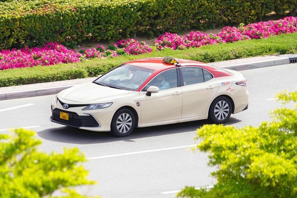 Dubai taxi trips hit 60m in H1 2025 as passenger numbers top 103m