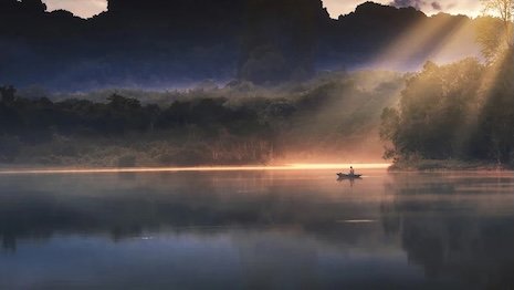 CEOs link sustainability initiatives to business value growth: Bain