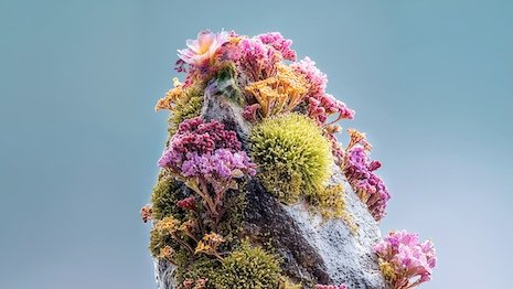 Coty earns ‘A’ score from CDP