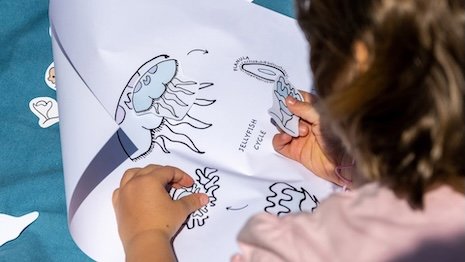 Prada Group presents Sea Beyond program updates